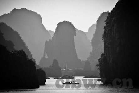91人妻人人澡人人精品-91人妻题材的影视作品，探索人性与艺术的边界