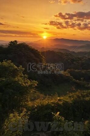 成人色网视频-成人色网视频，网络时代的隐忧与反思