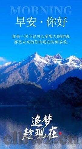 大象传媒网站地址-大象传媒，网络文化的广阔舞台