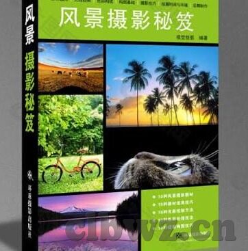 麻豆传媒在线观看视频-揭秘真实与虚幻，麻豆传媒视频——网络世界的双刃剑