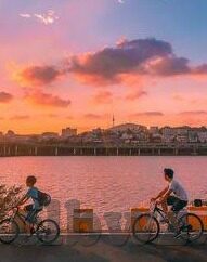麻豆映画传媒app下载-探索娱乐新视界，麻豆映画传媒app及其实时体验