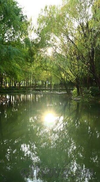 欧美一区二区三区四区-欧美文化区域探索，一区、二区、三区、四区的独特魅力