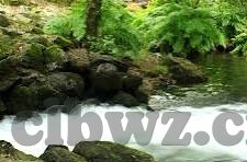 糖心vlog官网破解版-探店小日常，进入糖心Vlog官网的奇妙旅程