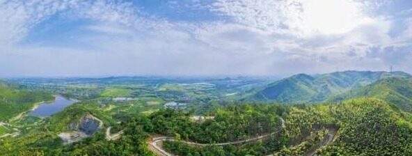 忘忧草最新中文字幕大全-忘忧草，最新中文字幕大全的温馨之旅
