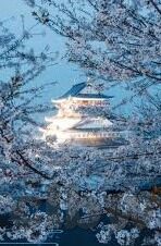 亚洲AV日韩AV激情-亚洲AV日韩激情，文化、艺术与情感的交融